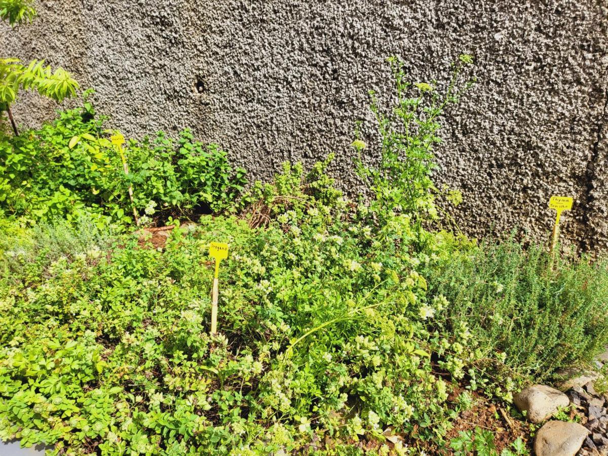 Villa Paradise Madeira Ocean View Faja da Ovelha Екстер'єр фото